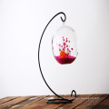 Glasflasche Terrarium Home Decor